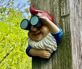 Finding the Gnomes